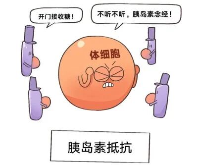 遭遇“胎停”后，需要检查哪些项目？