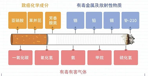 不孕率降低70%！做好这6件事，把握“黄金生育力”