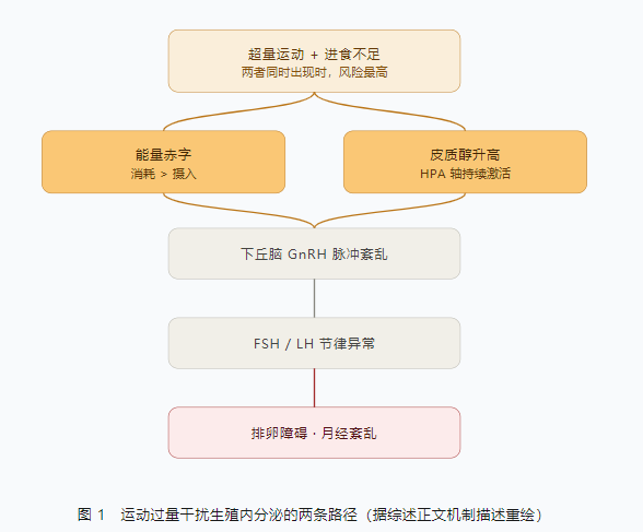 越努力越难怀上?小心掉进自律陷阱