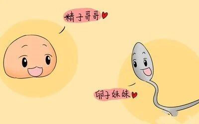 取卵多VS取卵少，哪个试管成功率更高？