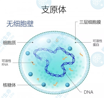 别被年龄定义！卵子质量另有线索，损耗快慢，你握有主动权！
