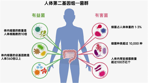 试管多次未果?未必是你的问题!大概率踩了同一个坑…