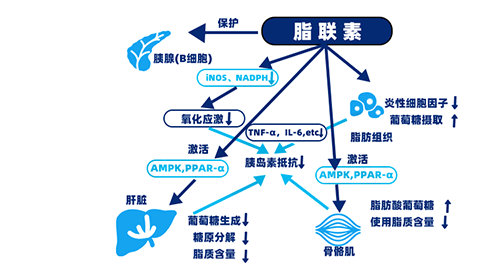 取卵少、易胎停？1542人研究揪出隐形元凶！2个方法自测是否中招