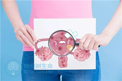 取卵少、易胎停？1542人研究揪出隐形元凶！2个方法自测是否中招