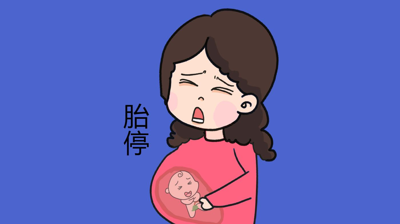 女性反复流产或胎停的原因？