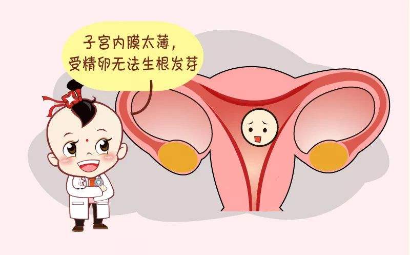 试管婴儿移植想要成功 子宫内膜很重要