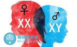 除了男和女，人类共有多少种性别呢