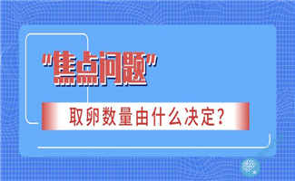 做试管取卵的数量和质量是由什么决定的?