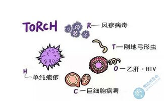 试管备孕教你看TORCH优生5项检查单