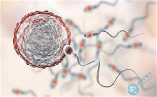 橄榄树生命：精子活力差怎么调理？可以通过试管助孕吗？