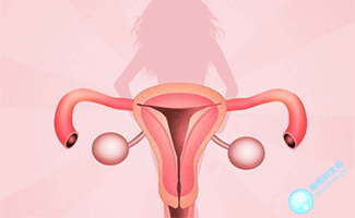 若患有子宫内膜异位症,做试管婴儿的成功率高吗? 若患有子宫内膜异位症,做试管婴儿的成功率高吗?