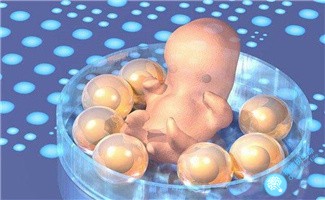 取卵数越多，关乎试管婴儿的成功率就越高吗？