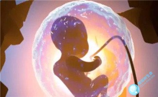 试管婴儿周期中是如何保障胚胎质量的？流程是怎样的？