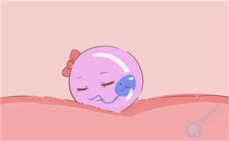 移植后决定胚胎着床的因素，让囊胚顺利着床的五个技巧