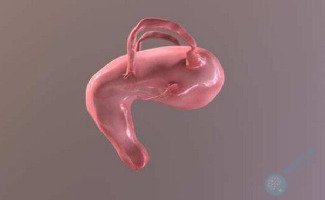 单角子宫能不能做试管婴儿怀宝宝? 几率有多大? 单角子宫能不能做试管婴儿怀宝宝? 几率有多大?