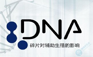 精子核DNA碎片率(DFI)与生育生育的关系 精子核DNA碎片率(DFI)与生育生育的关系