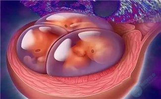 泰国试管婴儿如何避免多胎妊娠风险提高妊娠率? 泰国试管婴儿如何避免多胎妊娠风险提高妊娠率?