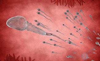 精子畸形率90%以上对怀孕有影响吗？