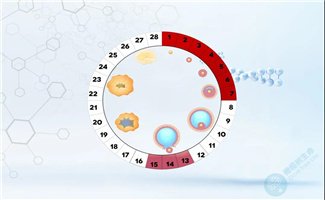 试管婴儿如何提高卵泡达标率？