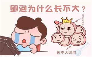 卵泡发育不良跟什么有关?去泰国做试管如何解决? 卵泡发育不良跟什么有关?去泰国做试管如何解决?