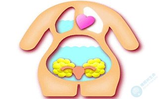 去泰国做试管婴儿,会出现腹水的情况吗? 去泰国做试管婴儿,会出现腹水的情况吗?