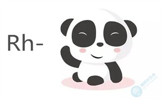 血型是Rh阴性,可以去泰国做试管婴儿吗? 血型是Rh阴性,可以去泰国做试管婴儿吗?