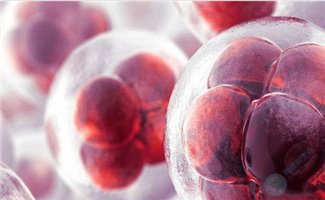 泰国做试管:针对卵子质量差的问题，如何提高成功率?