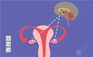 雌激素高去泰国做试管能移植吗，成功率高不高？