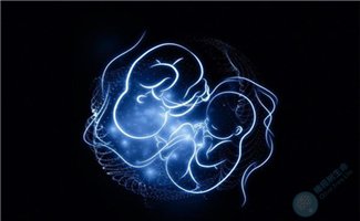 胚胎移植数量能决定试管成功率?这个误区你该走出来了