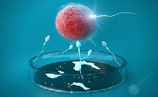 做试管婴儿促排的卵子与正常的卵子有差别吗？