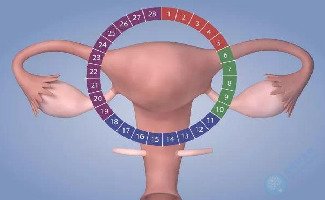 子宫内膜变薄后有哪些危害？是否能做试管婴儿？