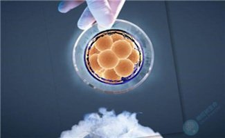 试管婴儿为什么要养囊？如何判断囊胚好坏？