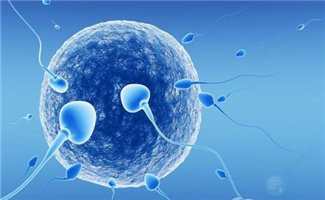 卵子老化易染色体异常，试管婴儿的解决方法是什么？