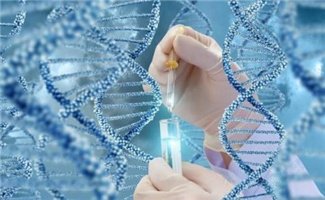 做泰国第三代试管婴儿，发生胎停的概率大吗？