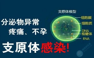 支原体阳性做试管婴儿，会不会有影响？