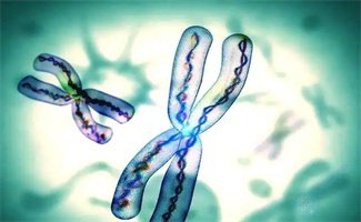 17号染色体异常能到泰国做试管婴儿吗？