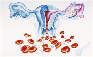 月经频发，去泰国做试管婴儿会有影响吗？