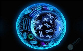 促排卵会造成卵子染色体异常吗？如何保险试管周期安全