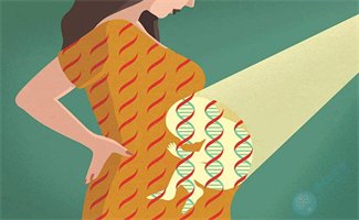染色体异常对怀孕的影响及试管婴儿的解决方法