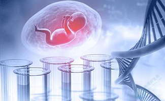 做泰国第三代试管婴儿，囊胚被淘汰的概率有多少？