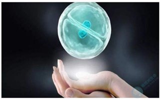 泰国试管婴儿如何筛选优质囊胚进行移植?