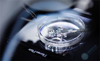 试管移植不能错过的知识解读之胚胎等级 试管移植不能错过的知识解读之胚胎等级