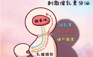 泌乳素过高由哪些因素引起的？做试管可行吗？