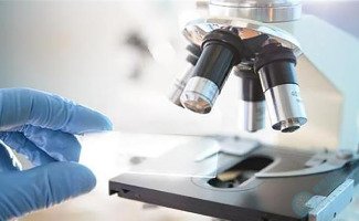 世界胚胎学家日| 用爱与智慧，谱写新生命