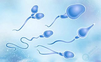 精子库筛选出的「优质种子」，竟藏着反复流产的真相！