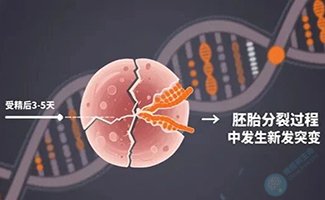 夫妻染色体正常，为何胚胎染色体异常？