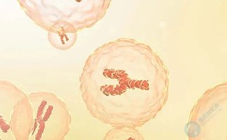 男性“工厂”停产？警惕 Y 染色体 “丢了零件”！