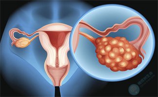 卵泡成熟却不破裂？揭秘试管婴儿技术如何实现“破茧成蝶”