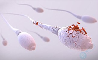 男性精子真的“不怕老”么？真相让人震惊！