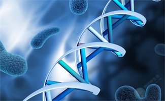 一文读懂AD、AR、XLR、XLD、Y染色体遗传分别是什么！